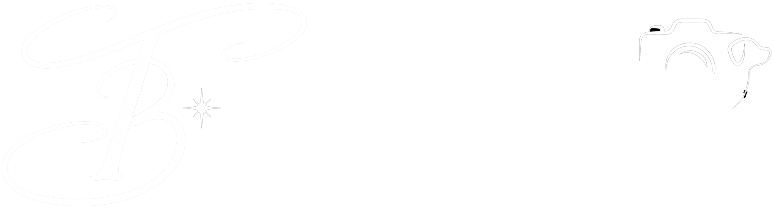 Logotyp